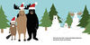 One Wild Christmas - English Edition
