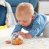 Fisher-Price Watermates Roll and Crawl Otter