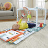 Fisher-Price 3-in-1 Crawl and Play Activity Gym