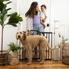 Summer by Ingenuity The Doorway 42W Series Gate - Espresso