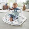 Fisher-Price Sit-Me-Up Floor Seat - Pacific Pebble, Baby Chair
