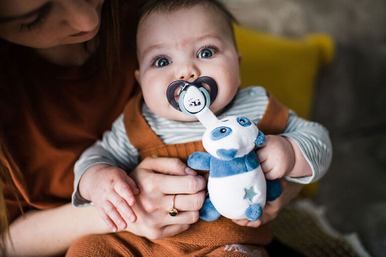 Animal en pelluche Paci-Snuggie avec deux sucettes, 0-6 mois - Panda