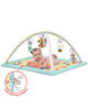 ABC & Me Activity Gym