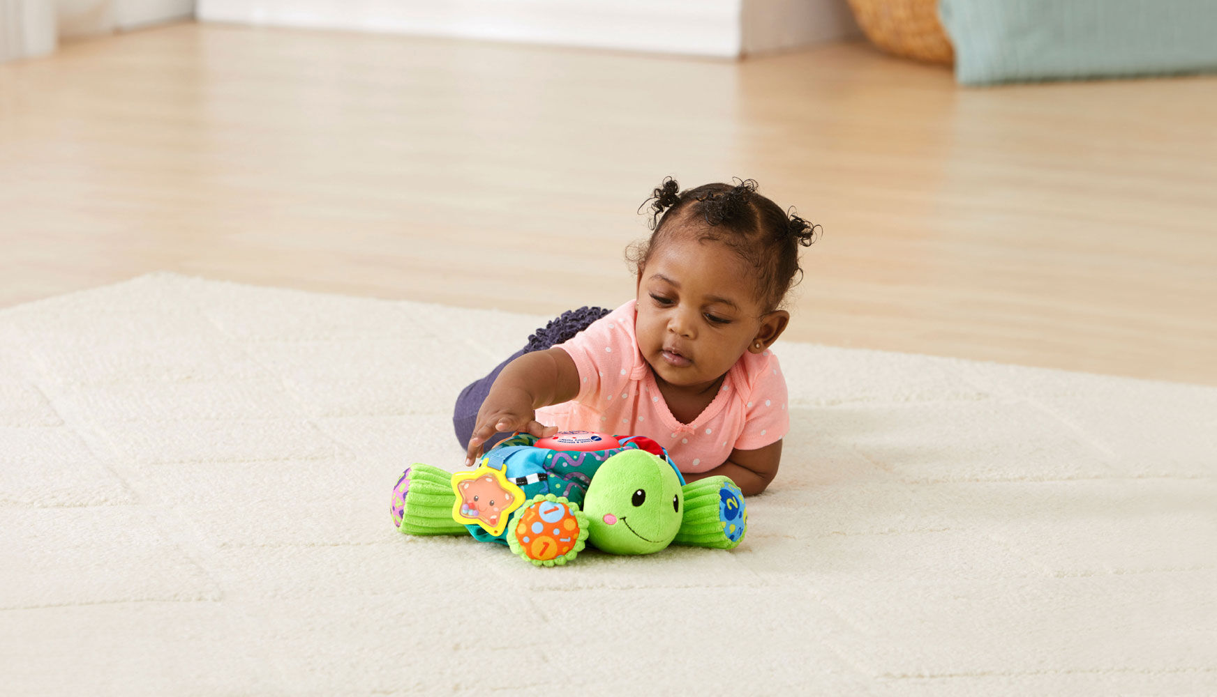 vtech touch and discover sensory turtle