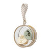 Multi Use Clear Paci Case