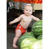 bumGenius Flip One-Size Diaper Cover - Lovelace