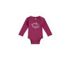 Koala Baby 4 -Pack Bodysuit Violet 