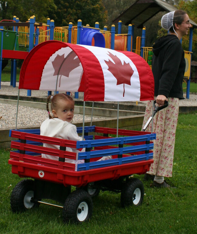 Millside - Trekker Wagon 20 inch x 38 inch with Canadian Canopy