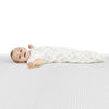 SwaddleMe 2 pack Arms Free Convertible Pod PEEKABOO PANDA STAGE 2, 6-12 months