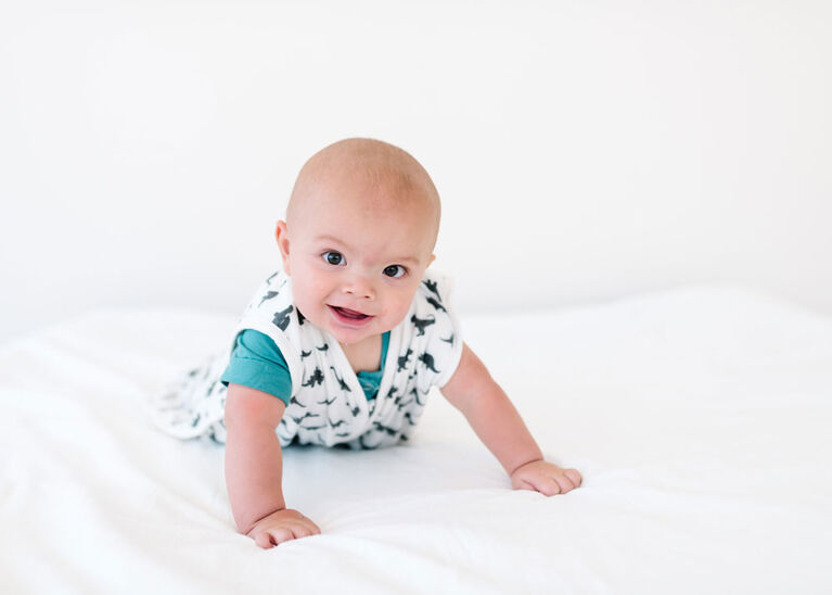 Copper Pearl Wild Sleep Bag 6-12 Months