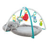 Bright Starts Enchanted Elephants Activity Gym