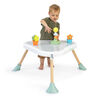 Ingenuity Tummy-to-Toes  6-in-1 Milestones Center