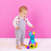 Bright Starts - Having a Ball - Flip-Flap Toucan