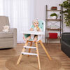 3 In 1 Zoodle High Chair Mint