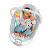 Bright Starts Whimsical Wild - Cradling Bouncer