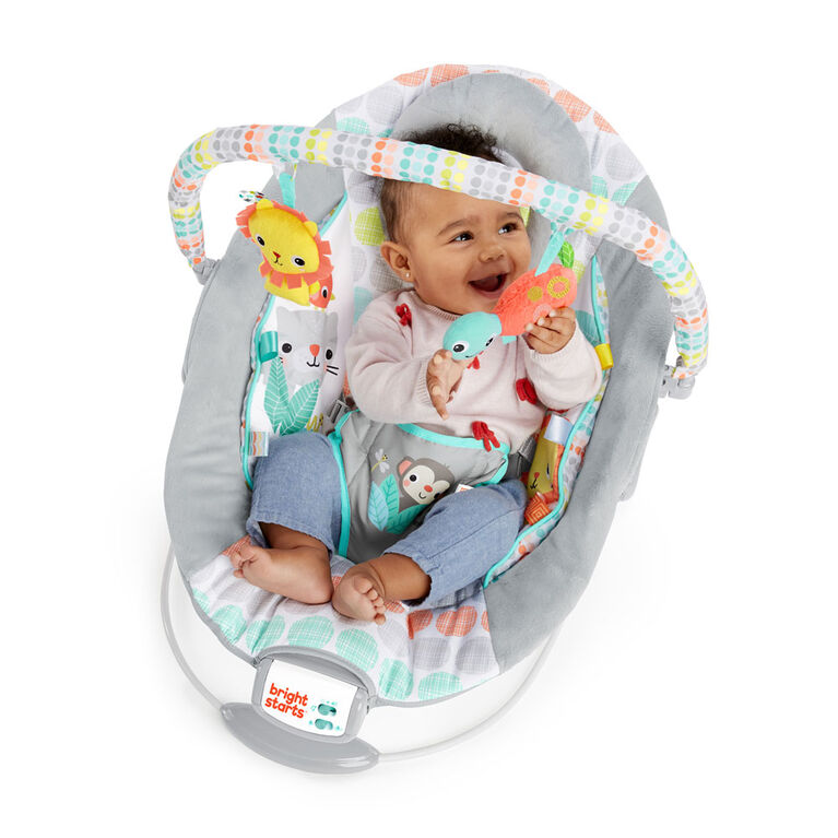 Bright Starts Whimsical Wild - Cradling Bouncer