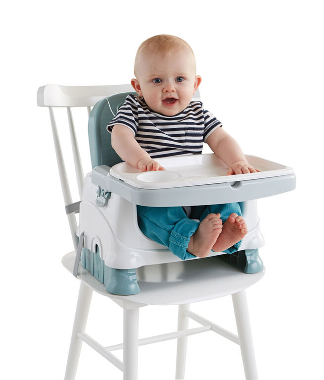 Fisher Price Healthy Care Deluxe Booster Seat R Exclusive