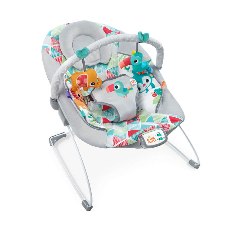 Bright Starts Safari Fun - Vibrating Bouncer