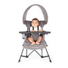 Baby Delight Go With Me Jubilee Deluxe Portable Chair