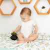 Perlimpinpin-Couverture en mousseline-Singes