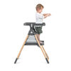 Ingenuity Proper Positioner Create Up Multi-Mode Deluxe Folding High Chair - Wesley