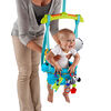 Exerciseur de luxe Bounce 'n Spring Door Jumper de Bright Starts