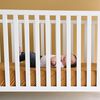 Camel Premium Crib Sheet