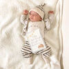 Itzy Ritzy Milestone Cards , Neutral, Woodland Animals