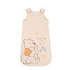 Winnie L'Ourson Sac De Nuit Beige 3/6M