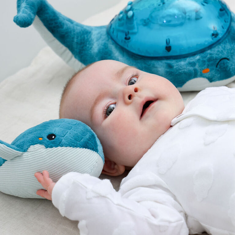 Cloud b Tranquil Whale Bundle w Baby Plush Rattle Blue Night Light w Under Water Effect and Music Babies R Us Canada