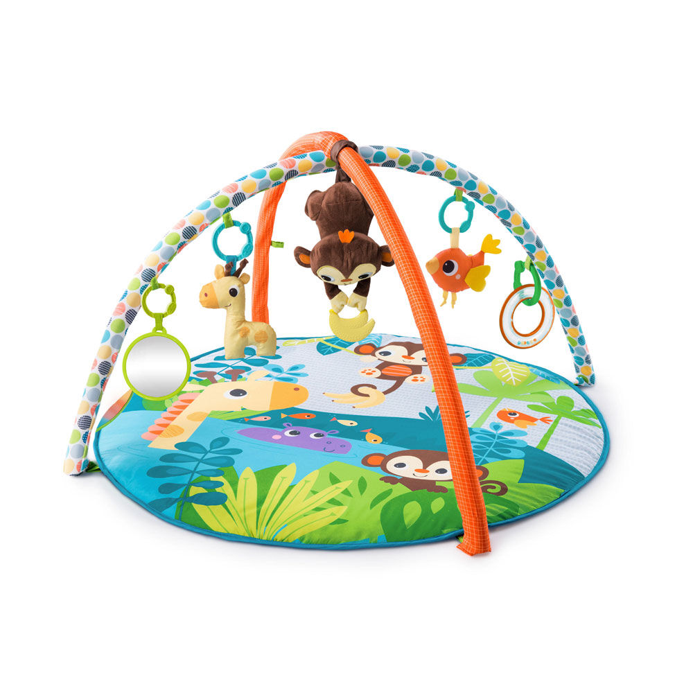 Activity gym toys r us online
