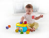 Fisher-Price Baby's First Blocks