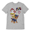 Paw Patrol Short Sleeve Tee - Grey Mix - 3T