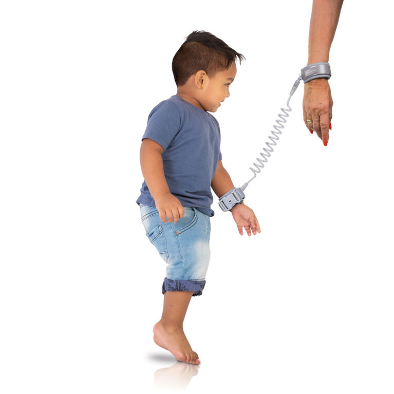 Dreambaby Within-Reach Wrist Buddy - Grey