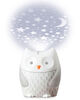 Moonlight & Melodies Owl Soother