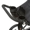 Schwinn Interval Jogger Travel System - Oriole