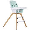 3 In 1 Zoodle High Chair Mint