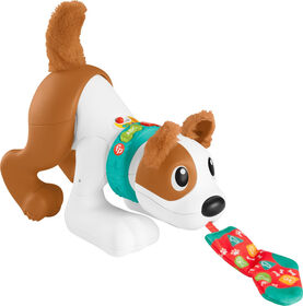 Fisher-Price - Chiot Joue avec moi 123 - Version anglaise