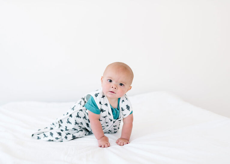 Copper Pearl Wild Sleep Bag 6-12 Months