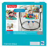 Fisher-Price Animal Wonders Jumperoo