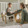 Maxi-Cosi Toucan 3-In-1 Learning Tower