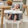 Fisher-Price - Chaise haute de luxe