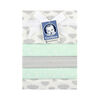 Gerber 5-Pack Green Flannel Receiving Blankets