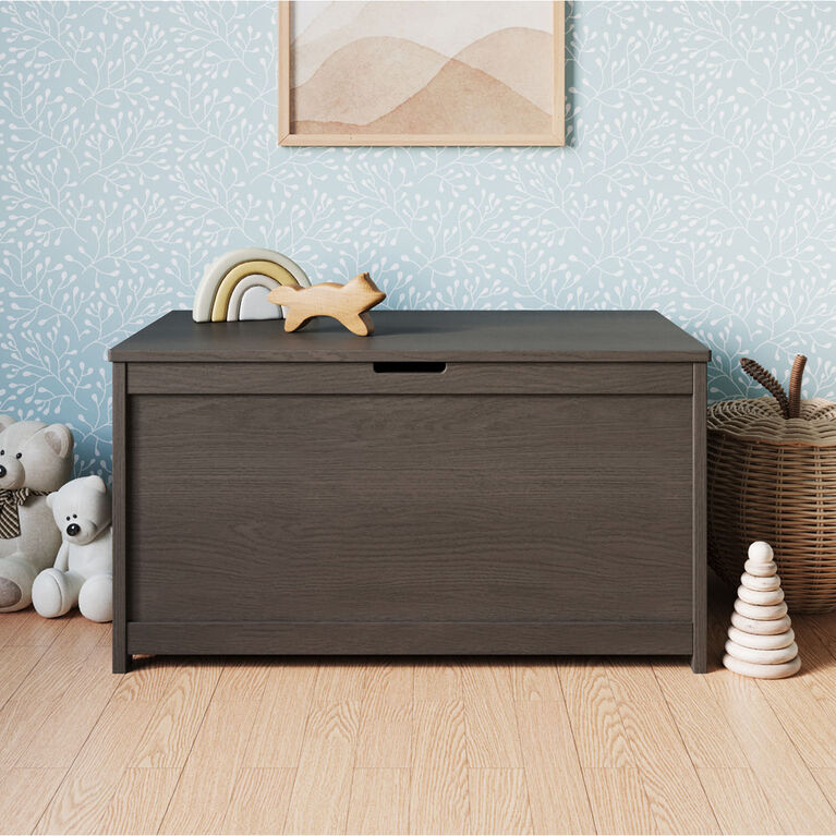 Forever Eclectic by Child Craft - Harmony Toy Chest - Dapper Gray