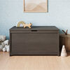 Forever Eclectic by Child Craft - Harmony Toy Chest - Dapper Gray