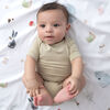 Kushies - Percale Dream crib sheet Forest