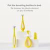 Fridababy - Training Toothbrush for Babies