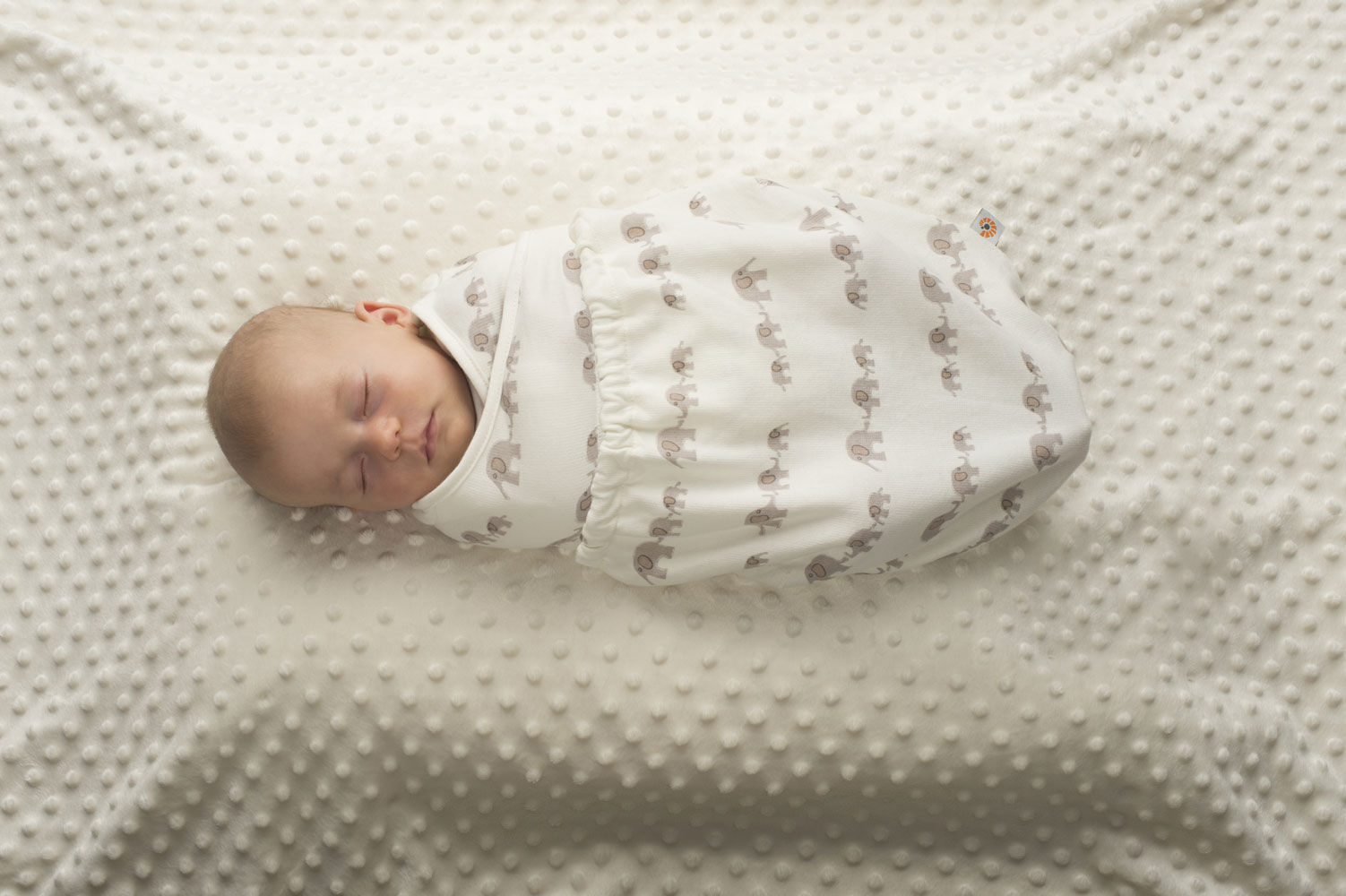 ergo baby swaddle canada