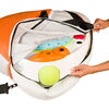 Evenflo Exersaucer Pliage Rapide Et En Route, D Est Pour Dino.