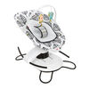 Fisher-Price 2-in-1 Soothe 'n Play Glider Plus - Falling Leaves - R Exclusive